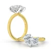 Fire and Ice Two Stone Engagement Ring