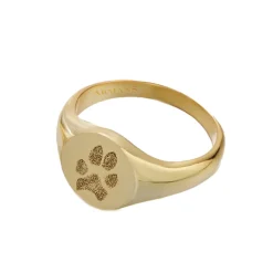 Gold Paw Print Signet Ring