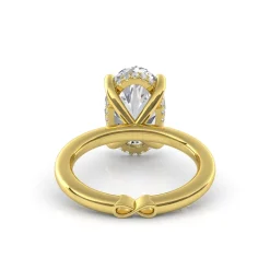 Golden Eternity Diamond Engagement Ring