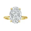 Golden Eternity Lab Grown Engagement Ring