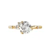 Round Twilight Engagement Ring