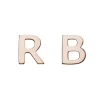 Solid Gold Initial Earrings