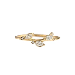 The Acacia Ring