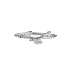 The Acacia Ring